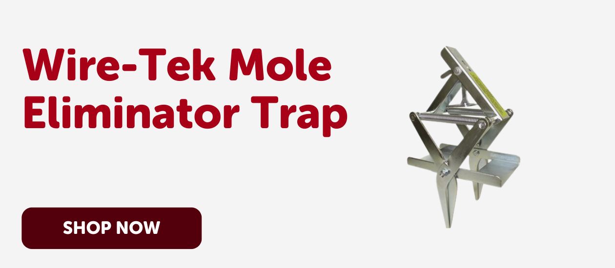Wire-Tek Mole Eliminator Trap